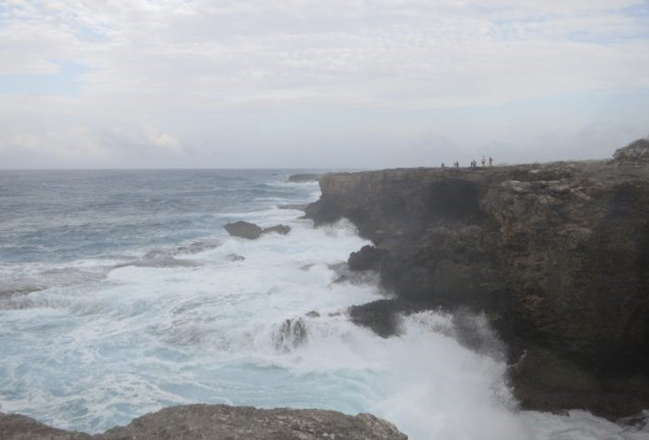 Oceans Could Be Harnessed to Remove Carbon From Air, Say U.S. Science Leaders